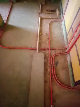 兴景逸园
