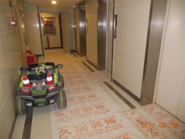 水电金檀