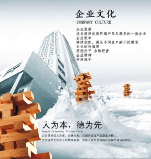 公司介绍