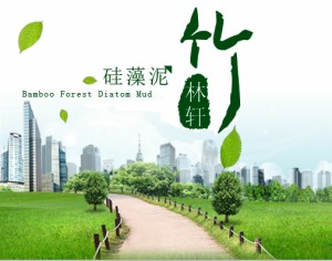 公司介绍