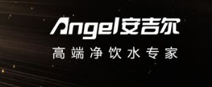 公司介绍